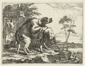 Two mating dogs
